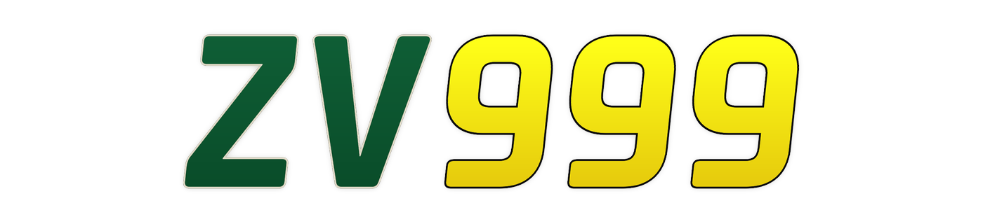 zv999